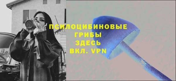 спиды Кукмор
