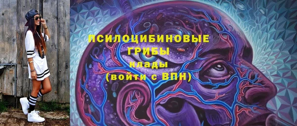 шишки Кулебаки