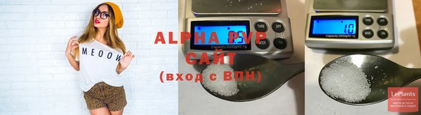 спиды Кукмор