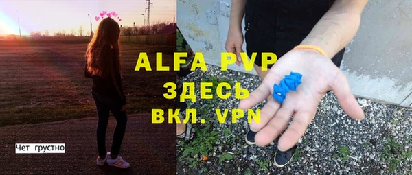 спиды Кукмор