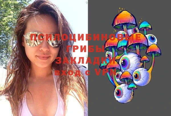 шишки Кулебаки