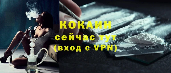 шишки Кулебаки