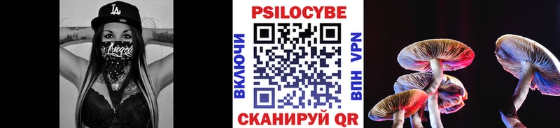 Купить где  Константиновск  Псилоцибиновые грибы мухоморы 